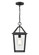 Eston One Light Outdoor Hanging Lantern in Textured Black (59|91401-TBK)