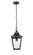 Curry One Light Outdoor Hanging Lantern in Powder Coated Black (59|10931-PBK)