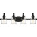 Danbury Four Light Bath Fixture in Earth Black (10|DNY8604EK)