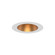 Aether Atomic LED Trim in Gold/White (34|R1ARDT-GLWT) Aether Atomic LED Trim in Gold/White (34|R1ARDT-GLWT)