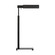 Leonard One Light Floor Lamp in Aged Iron (454|LT1181AI1)