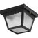Ceiling Mount One Light Outdoor Flush Mount in Black (54|P5727-31)