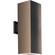 Square Two Light Wall Lantern in Antique Bronze (54|P5644-20)