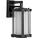 Irondale One Light Wall Lantern in Black (54|P560148-031)