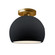 Radiance One Light Semi-Flush Mount in Gloss Black (102|CER-6350-BLK-BRSS)