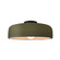 Radiance One Light Semi-Flush Mount in Matte Green (102|CER-6343-MGRN-MBLK)