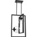 Atwell Two Light Pendant in Black (54|P500284-031)
