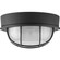 Bulkheads One Light Flush Mount in Black (54|P3709-31)