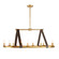 Englewood Ten Light Linear Chandelier in Antique Brass/Moss (314|DRI02)