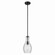 Everly One Light Pendant in Black (12|42456BKCS)