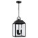 Nelson Three Light Outdoor Hanging Lantern in Black (65|953434BK)