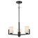 Dart Three Light Chandelier in Black (16|21285SWBK)