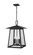 Rainer Five Light Outdoor Chain Mount Ceiling Fixture in Black (224|5015CHXL-BK)