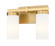 Danica Two Light Vanity in Modern Gold (224|3044-2V-MGLD)