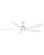 Bodin 64''Ceiling Fan in Matte White (13|906564FMW-LDD)