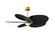 Alessandra TROPICAL - LK 48''Ceiling Fan in Brushed Brass (101|AKTPLK-BRBR-BK) Alessandra TROPICAL - LK 48''Ceiling Fan in Brushed Brass (101|AKTPLK-BRBR-BK)