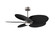 Alessandra Tropical - LK 48'' Ceiling Fan in Brushed Nickel (101|AKTPLK-BN-BK)