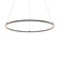 Circa One Light Pendant in Black (429|RGPD24-CC-BK)