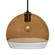 Besa Ally 12 Pendant One Light Pendant in Black (74|1JC-ALLY12AM-BK)