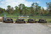 PALADIN BRADCO LAND SHARK BRUSHCUTTER 78" CUTS 10" TREES 30-45 GPM 2000 LBS.