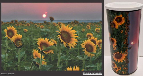 432-piece jigsaw puzzle image and resealable can, capturing the sun setting among the sunflowers in a field at the Columbia Bottom Conservation Area in Spanish Lake, MO. Completed size is 24x18.