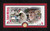 Stan The Man Musial Cardinal Legend Bronze Coin Pano Photo Mint
