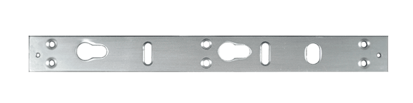 Alarm Controls AM3330 Header Plate