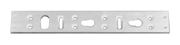 Alarm Controls AM6330 Header Plate