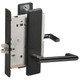 L9010 LONL 622 Schlage Mortise Lock