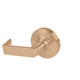 Schlage ND170 RHO 612 Single Dummy Trim