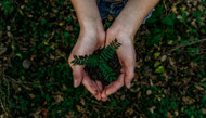 ​Going Green - Small Changes Can Add Up to Conserve Resources!