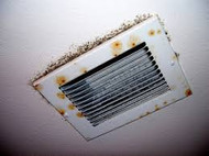 Do you smell a mildew musty odor coming from your HVAC air ducts? You may have mold infestation in your HVAC system.