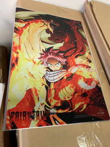 Fairy Tail - Natsu & Igneel