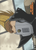 Present Mic