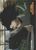 010 Eraserhead Elbow