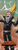 MHA - Present Mic Bookmark