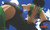 Yo Shindo