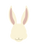 Forest Rabbit