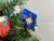 5 Ornament SET