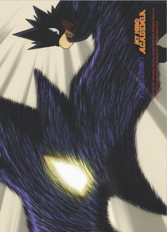 Tokoyami & Dark Shadow