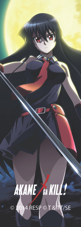 Akame Solo Bookmark