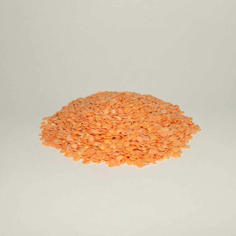 Lentilles rouges (orange)