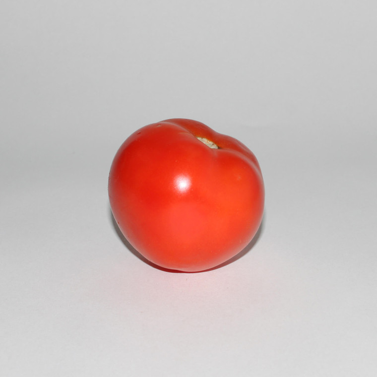 Tomate Rouge