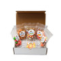 Fun Fair Treats Freeze Dried Candy Sampler