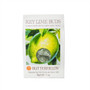 Butterfields Key Lime Buds - 7 oz - Each