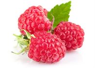 Raspberry