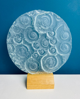 Ammonite - Sandblast Recycled Glass  by Aline Johnson