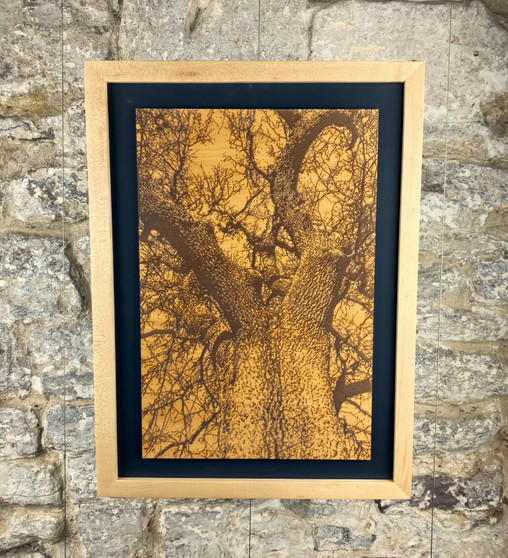 Winter Oak - Engraving on Maple