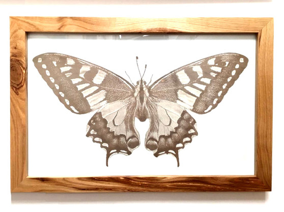 Butterfly engraving by Jason Cameron