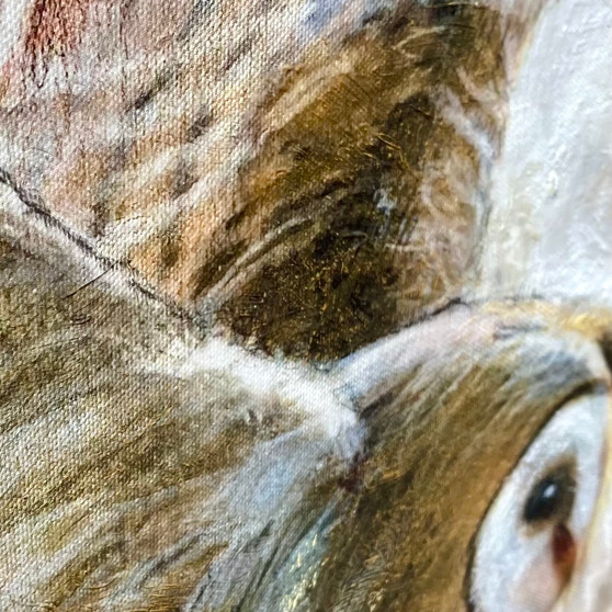 Barn Owl , original painting by Cliff Towler, Grange Gallery, Dorset